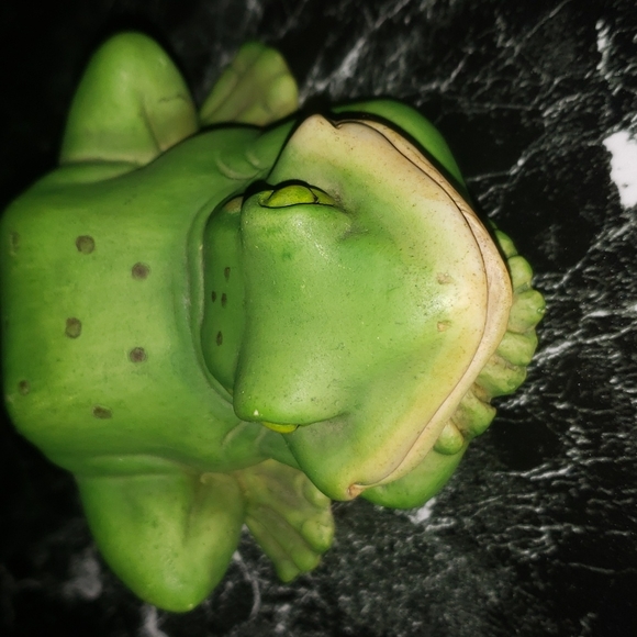 Lucky Frog Decoration - Picture 3 of 7